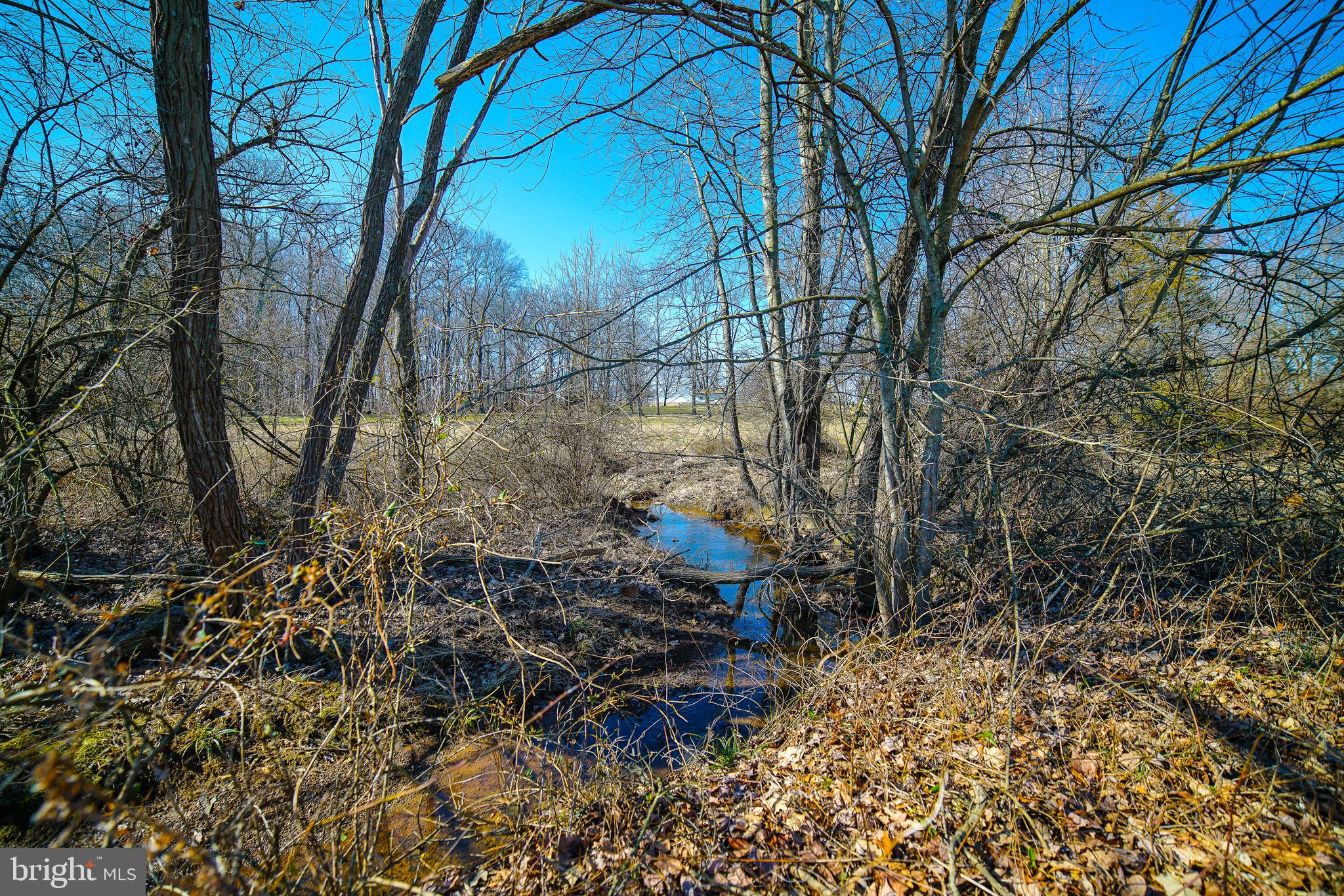 4959 Walnut Grove Road Taneytown, MD 21787 - Photo 45 of 60