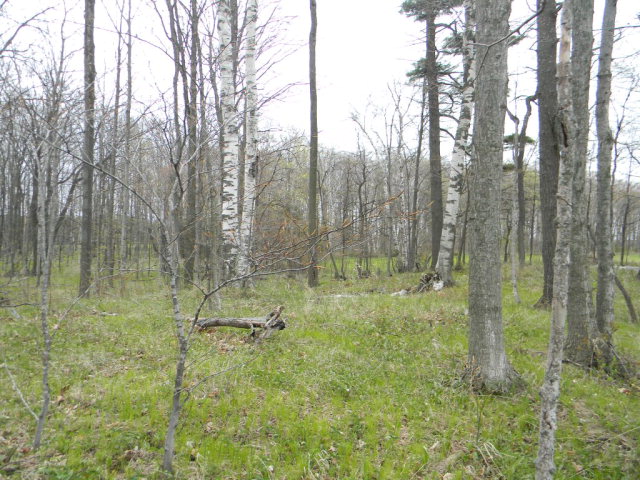 6320 Jorns Road Jacksonport, WI 54209 - Photo 4 of 6