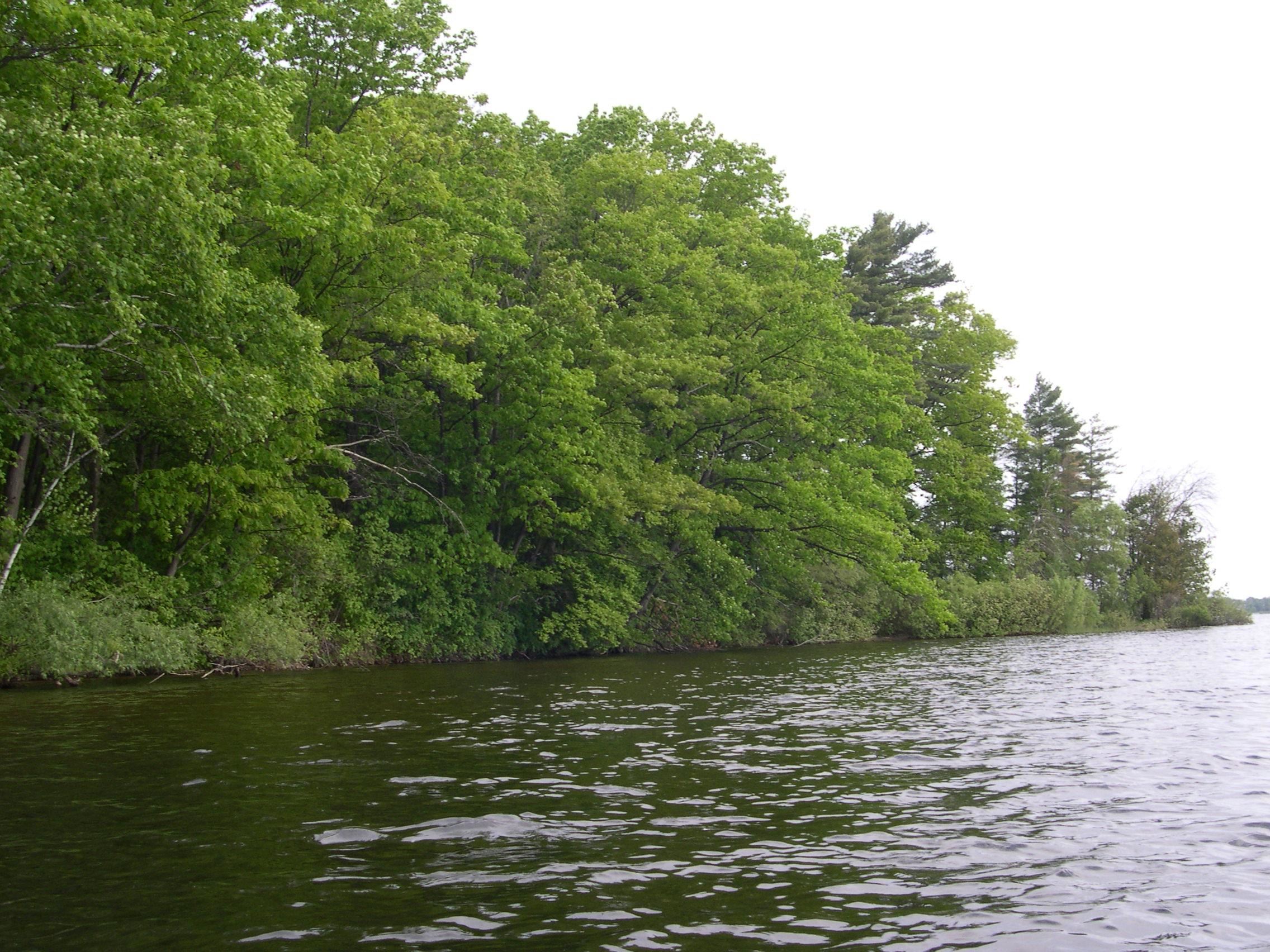1541 Edgewater Ridge Traverse City, MI 49684 - Photo 10 of 21 1914186-9.JPG