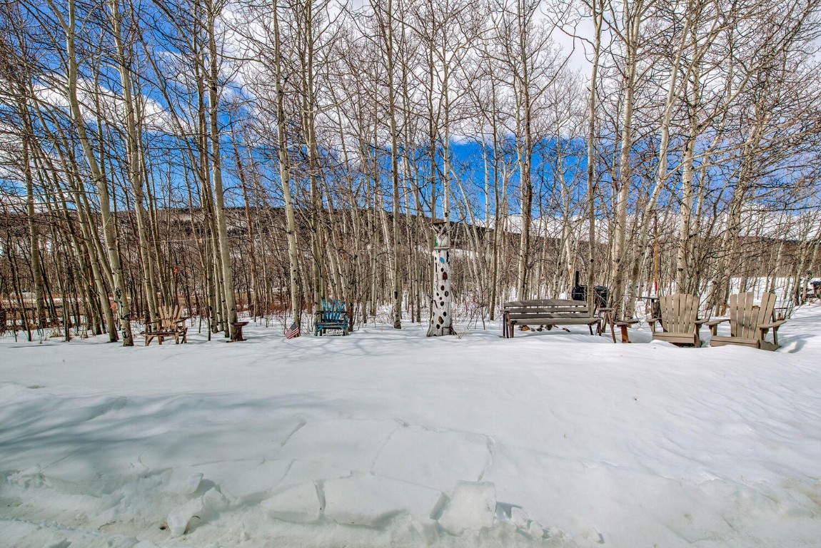1462 Sheep Ridge Road Fairplay, CO 80440 - Photo 32 of 48 a view of a building with a snow