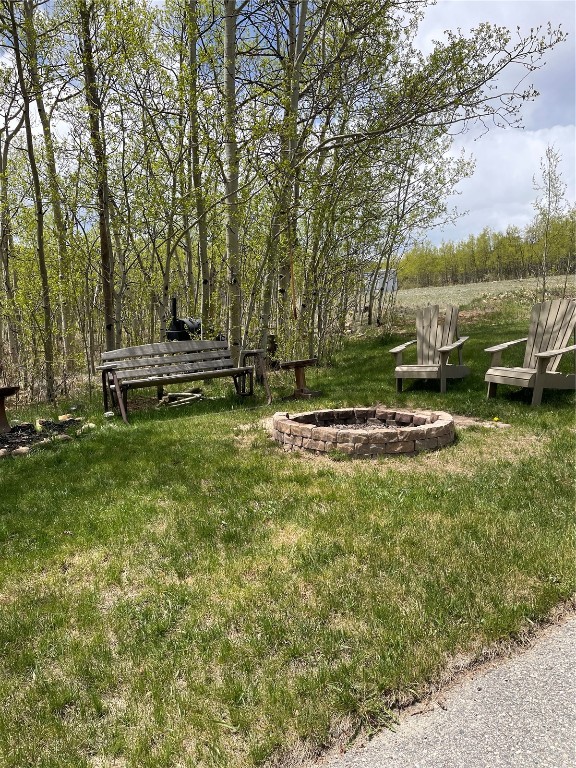 1462 Sheep Ridge Road Fairplay, CO 80440 - Photo 44 of 48 a view of a park with large trees
