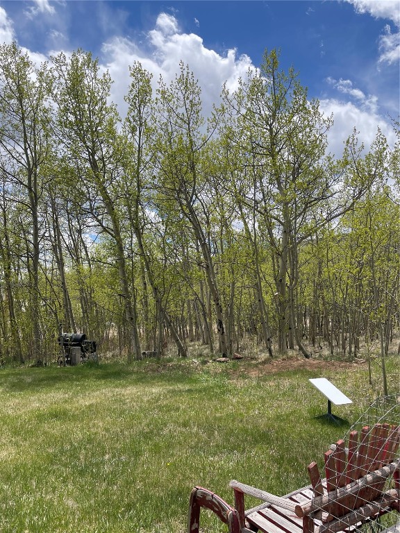 1462 Sheep Ridge Road Fairplay, CO 80440 - Photo 46 of 48 a view of outdoor space with deck and yard