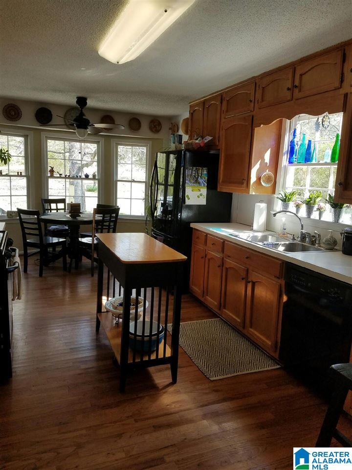 56 Bushwood Road Birmingham, AL 35210 - Photo 4 of 31