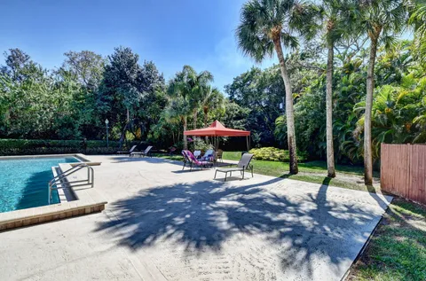 a view of a park with plants
