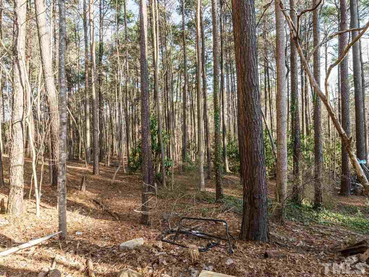 538 Brent Road Raleigh, NC 27606 - Photo 8 of 13 a view of a forest with trees