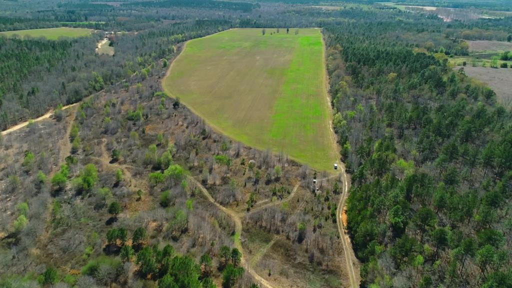 509 Shadow Lane Road Wagener, SC 29164 - Photo 1 of 9