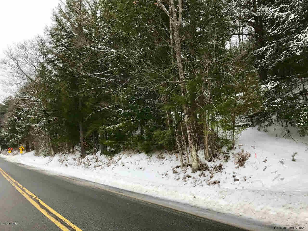 8 Potter Brook Road Warrensburg, NY 12885 - Photo 1 of 11 Photo 1