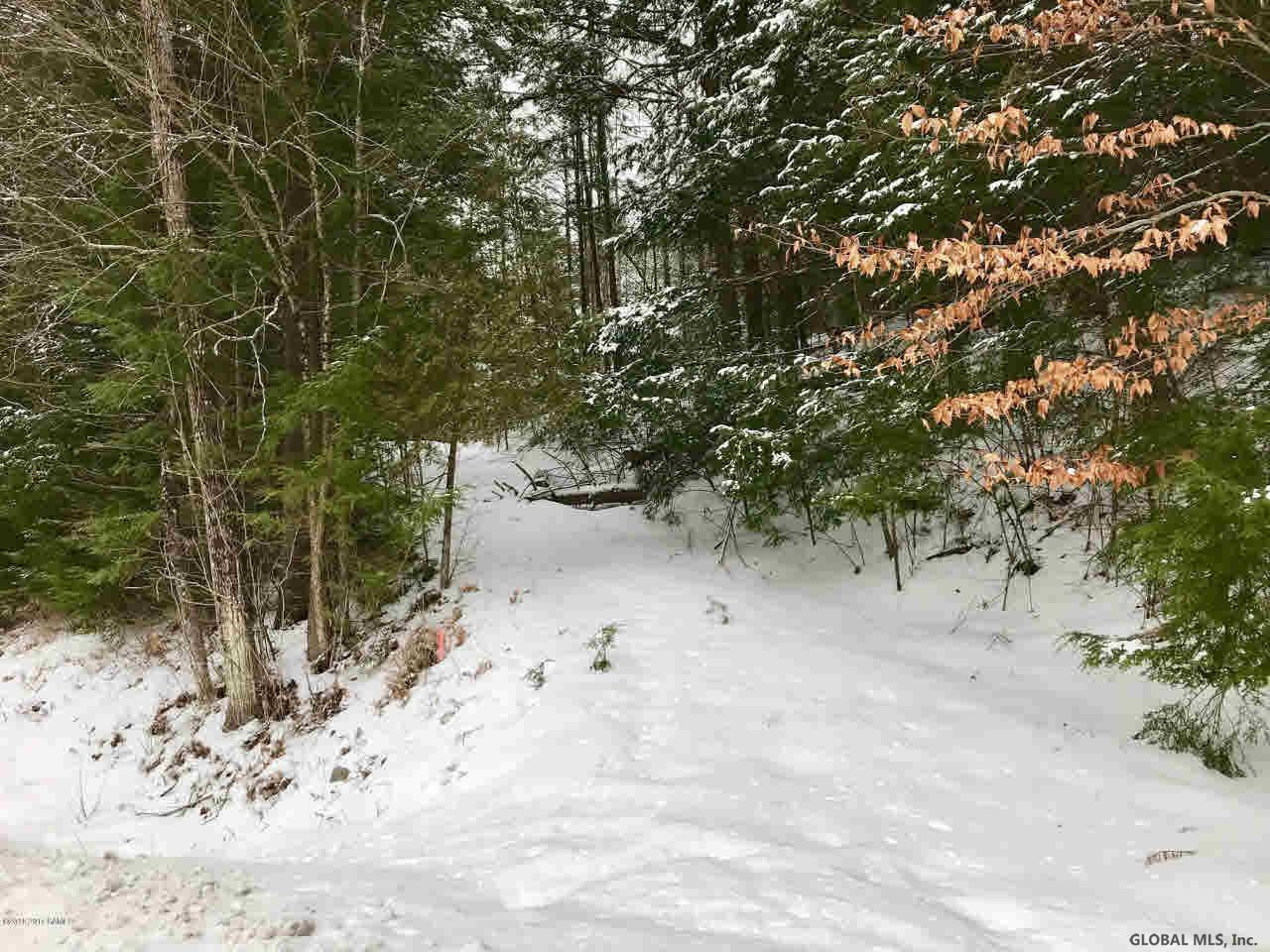 8 Potter Brook Road Warrensburg, NY 12885 - Photo 2 of 11 Photo 2