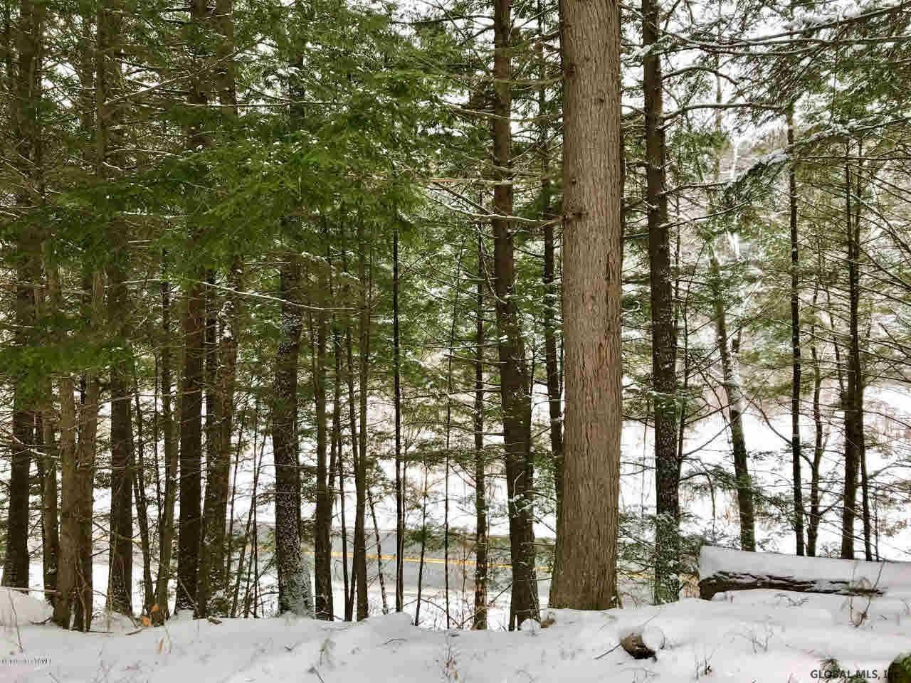 8 Potter Brook Road Warrensburg, NY 12885 - Photo 7 of 11 Photo 7