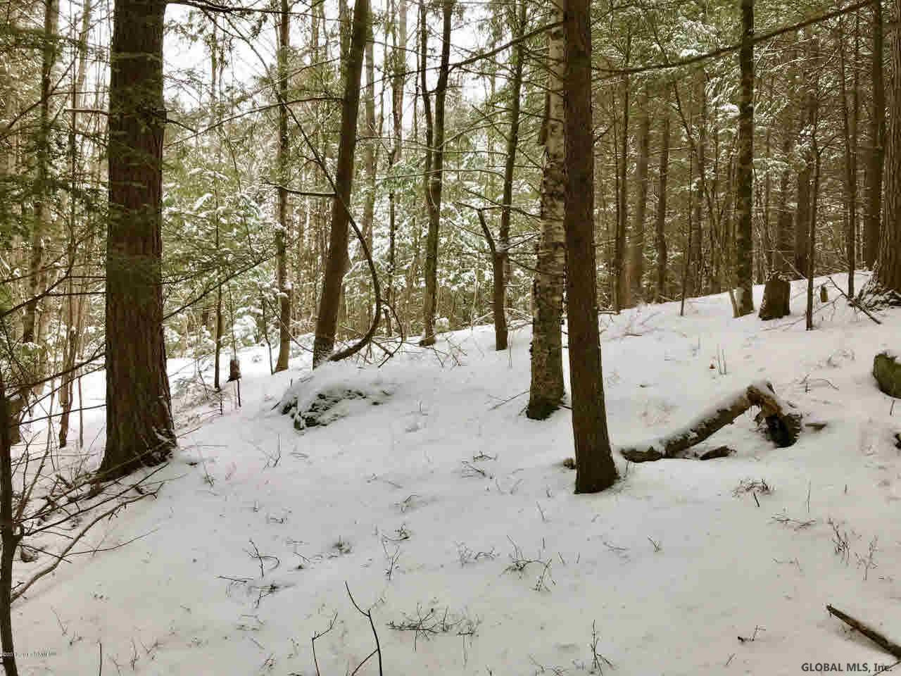 8 Potter Brook Road Warrensburg, NY 12885 - Photo 8 of 11 Photo 8