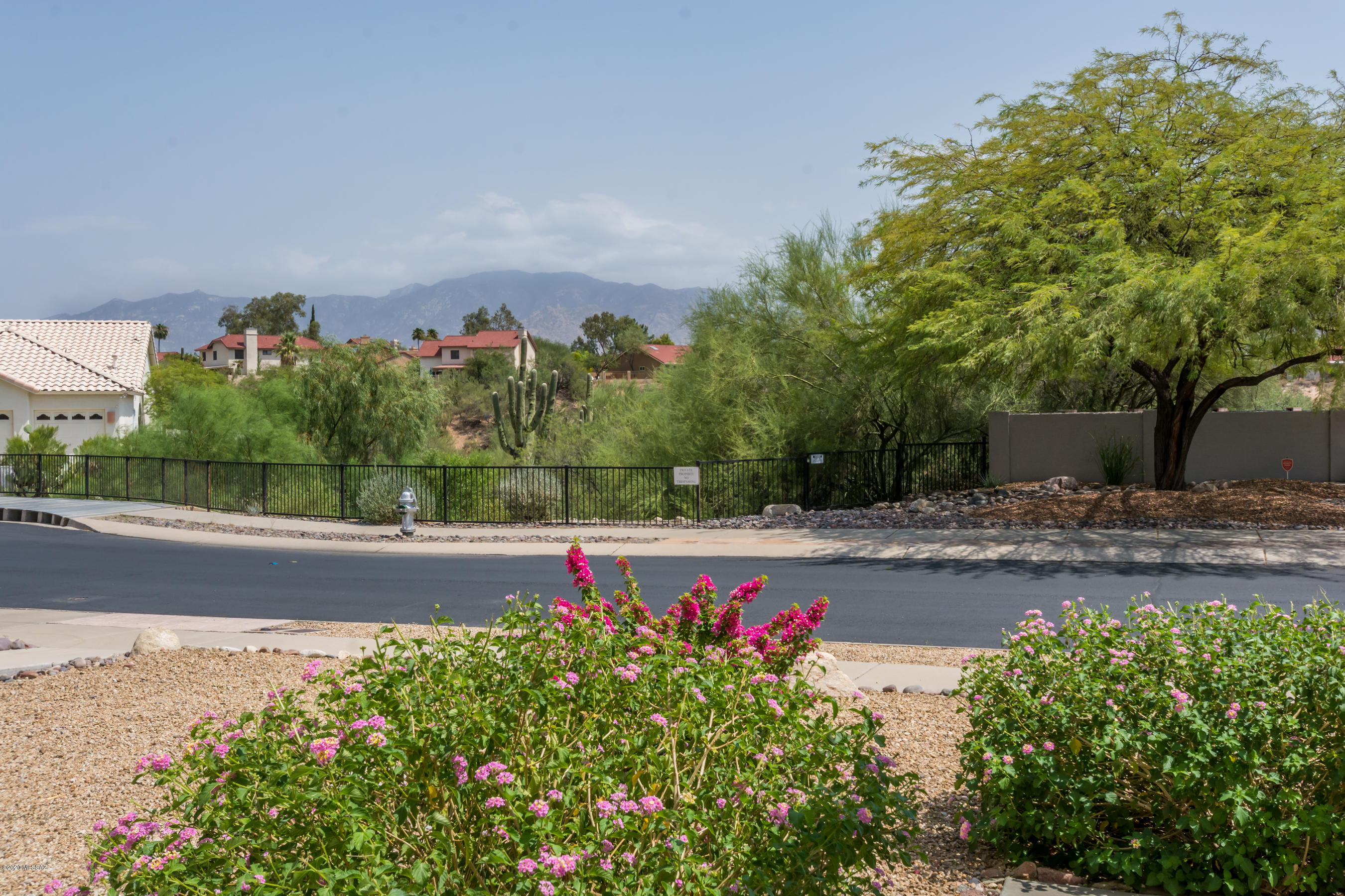11341 Silver Pheasant Loop Oro Valley, AZ 85737 - Photo 36 of 41 a view of a backyard with large trees