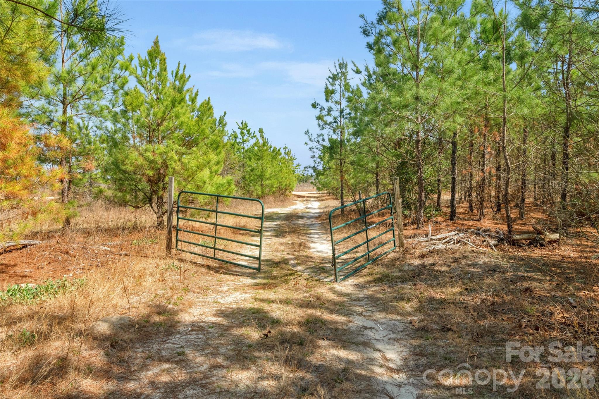 931 Charlie Johnson Road, Unit 9 Kershaw, SC 29067 - Photo 13 of 33