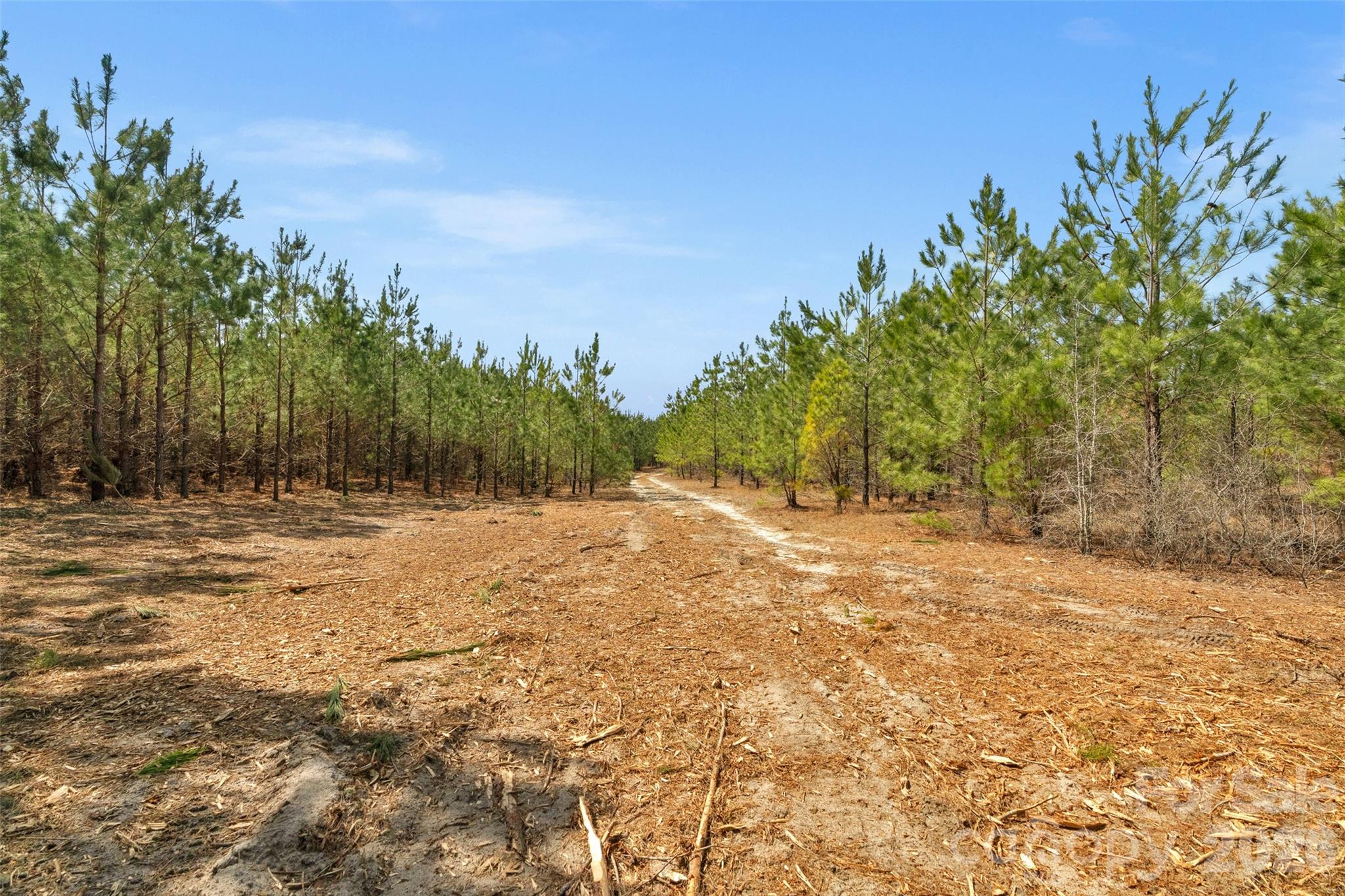 931 Charlie Johnson Road, Unit 9 Kershaw, SC 29067 - Photo 19 of 33