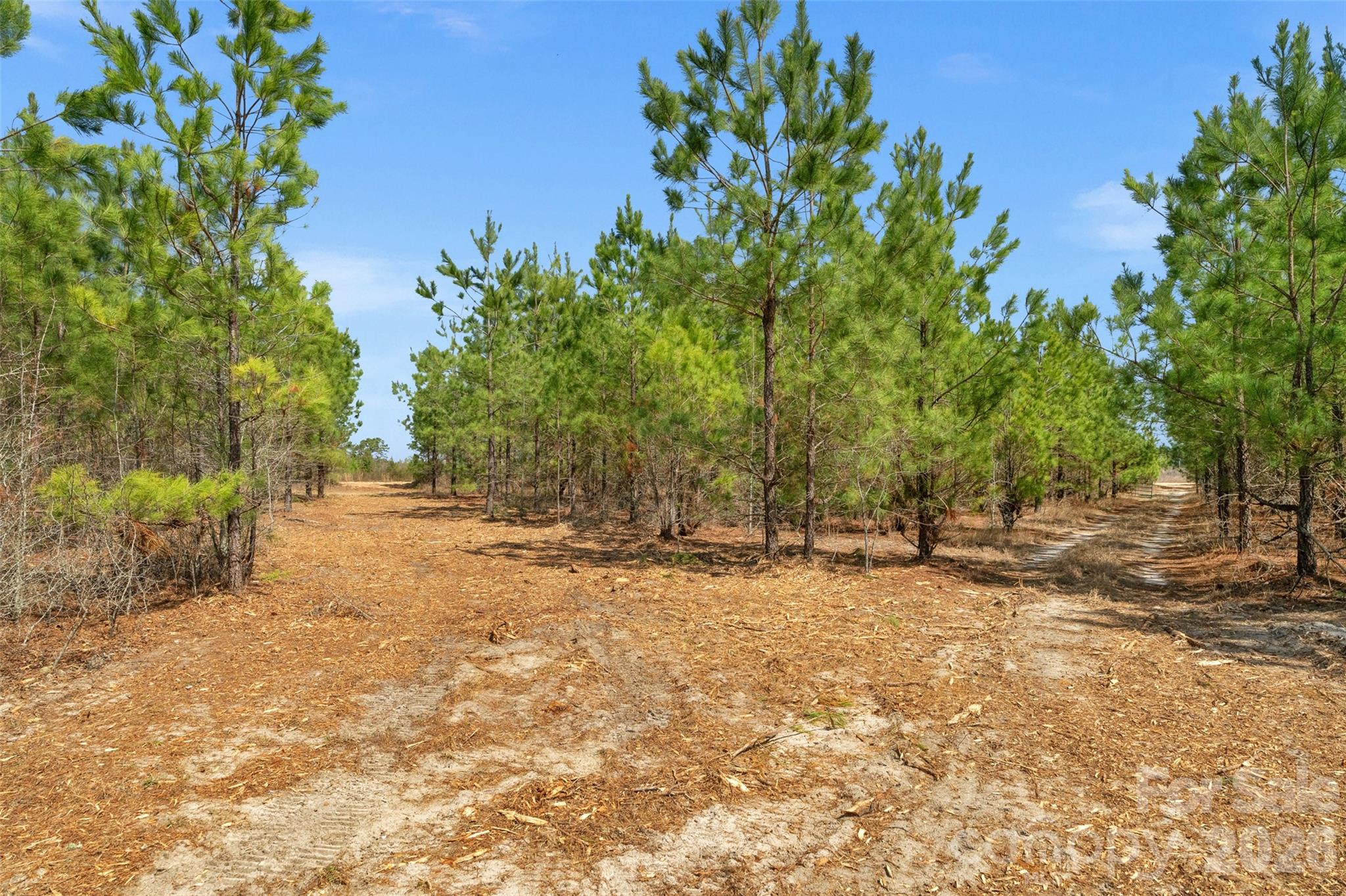 931 Charlie Johnson Road, Unit 9 Kershaw, SC 29067 - Photo 20 of 33