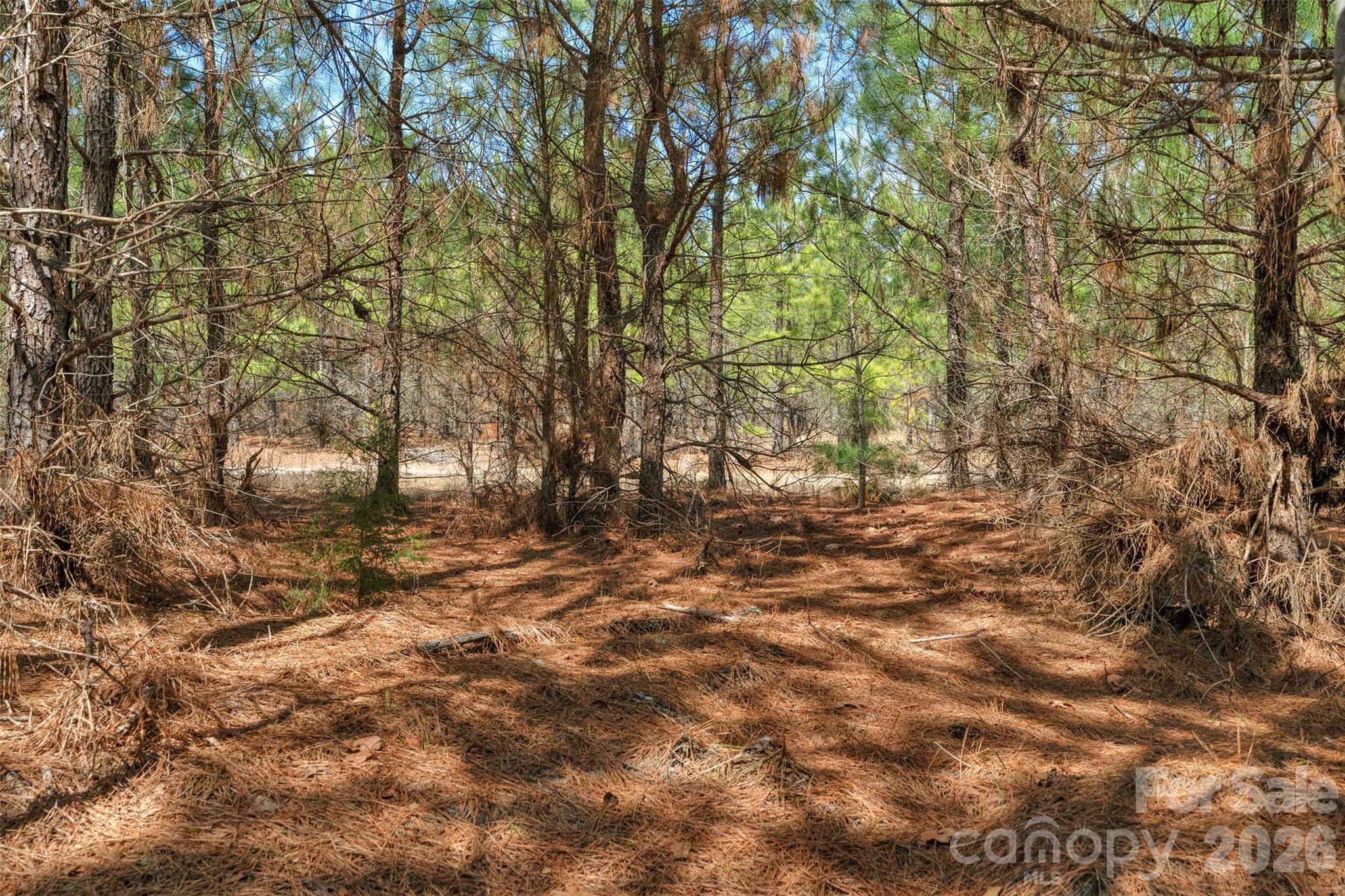 931 Charlie Johnson Road, Unit 9 Kershaw, SC 29067 - Photo 22 of 33