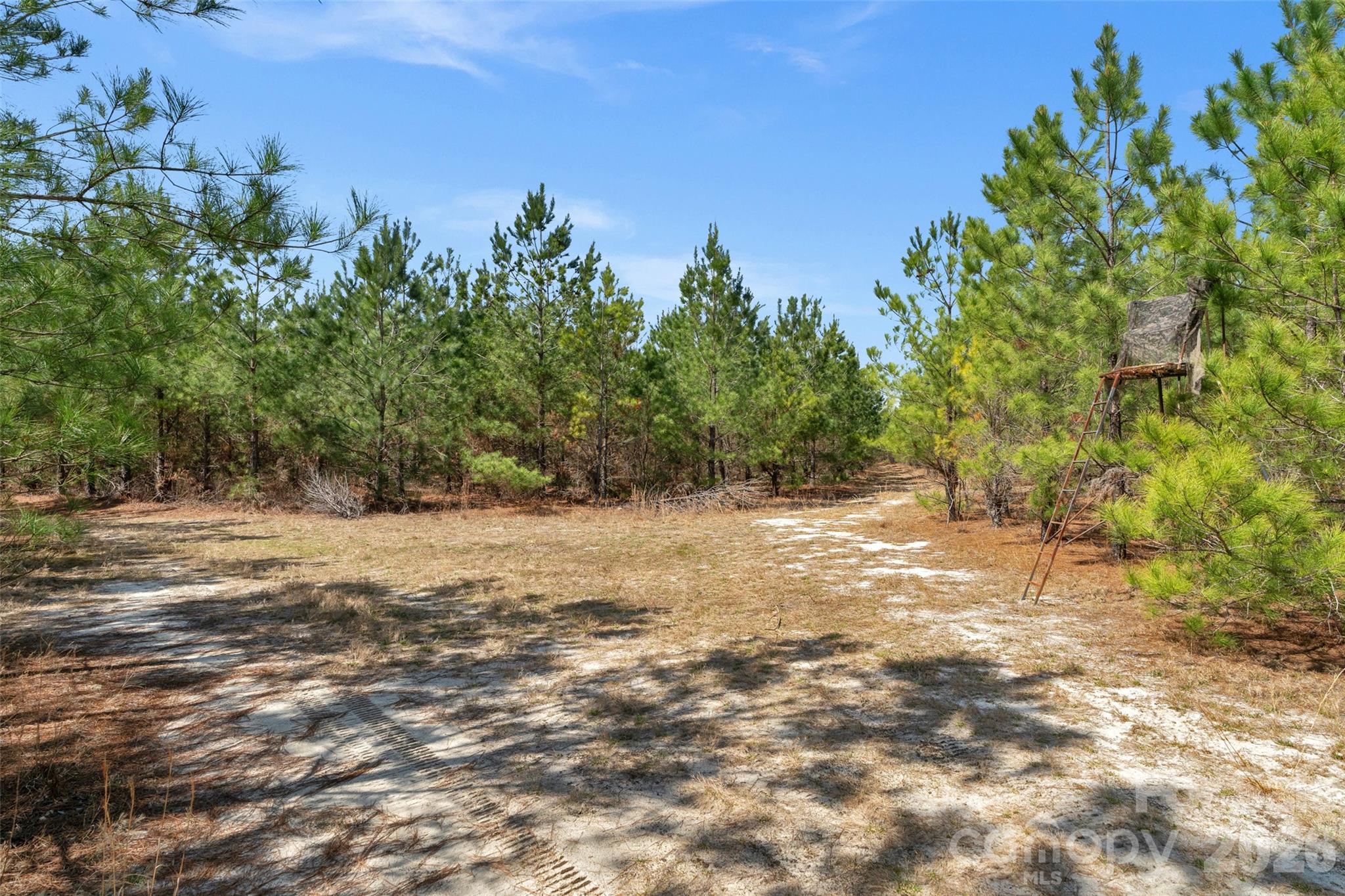 931 Charlie Johnson Road, Unit 9 Kershaw, SC 29067 - Photo 24 of 33