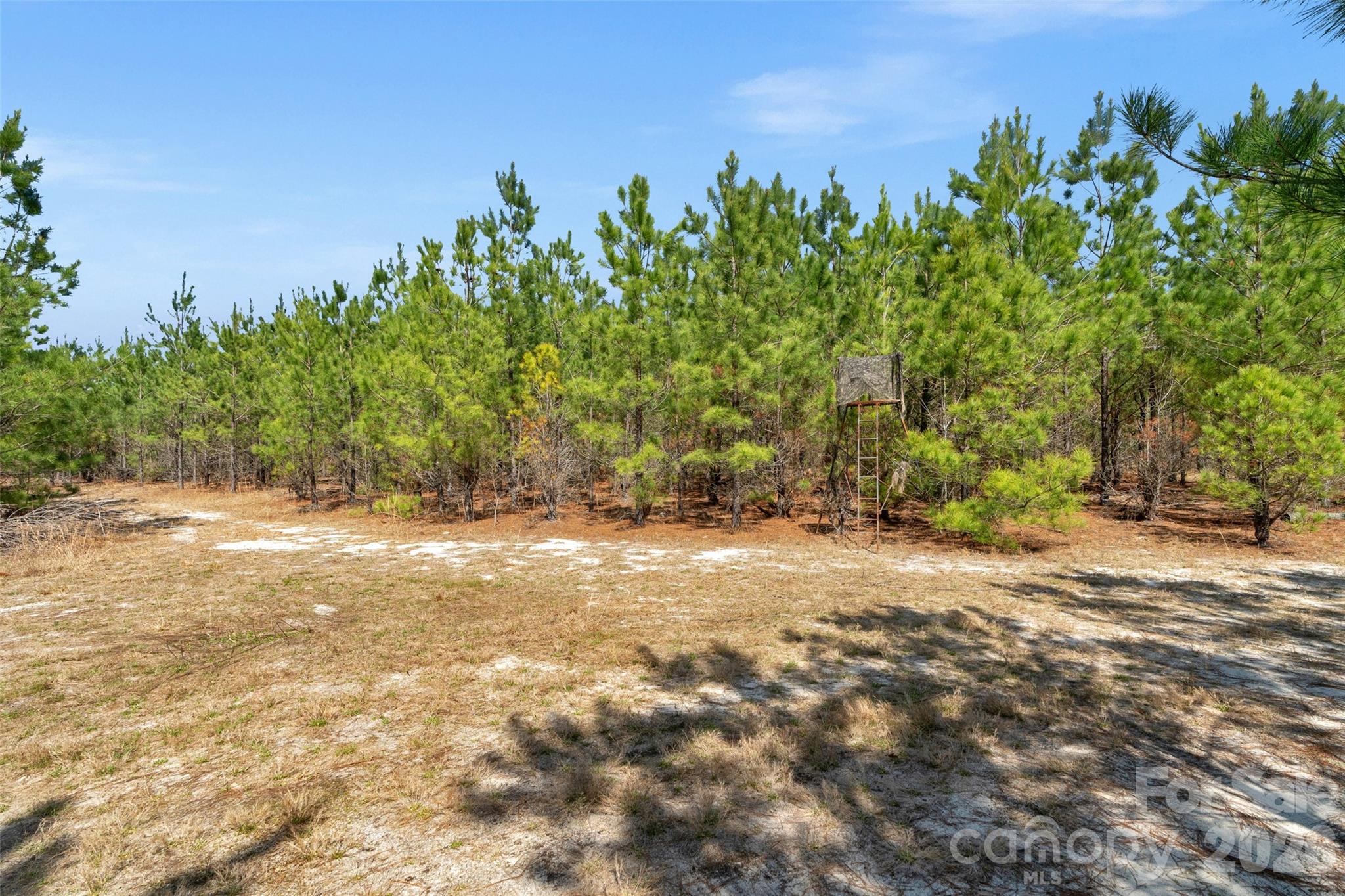 931 Charlie Johnson Road, Unit 9 Kershaw, SC 29067 - Photo 25 of 33