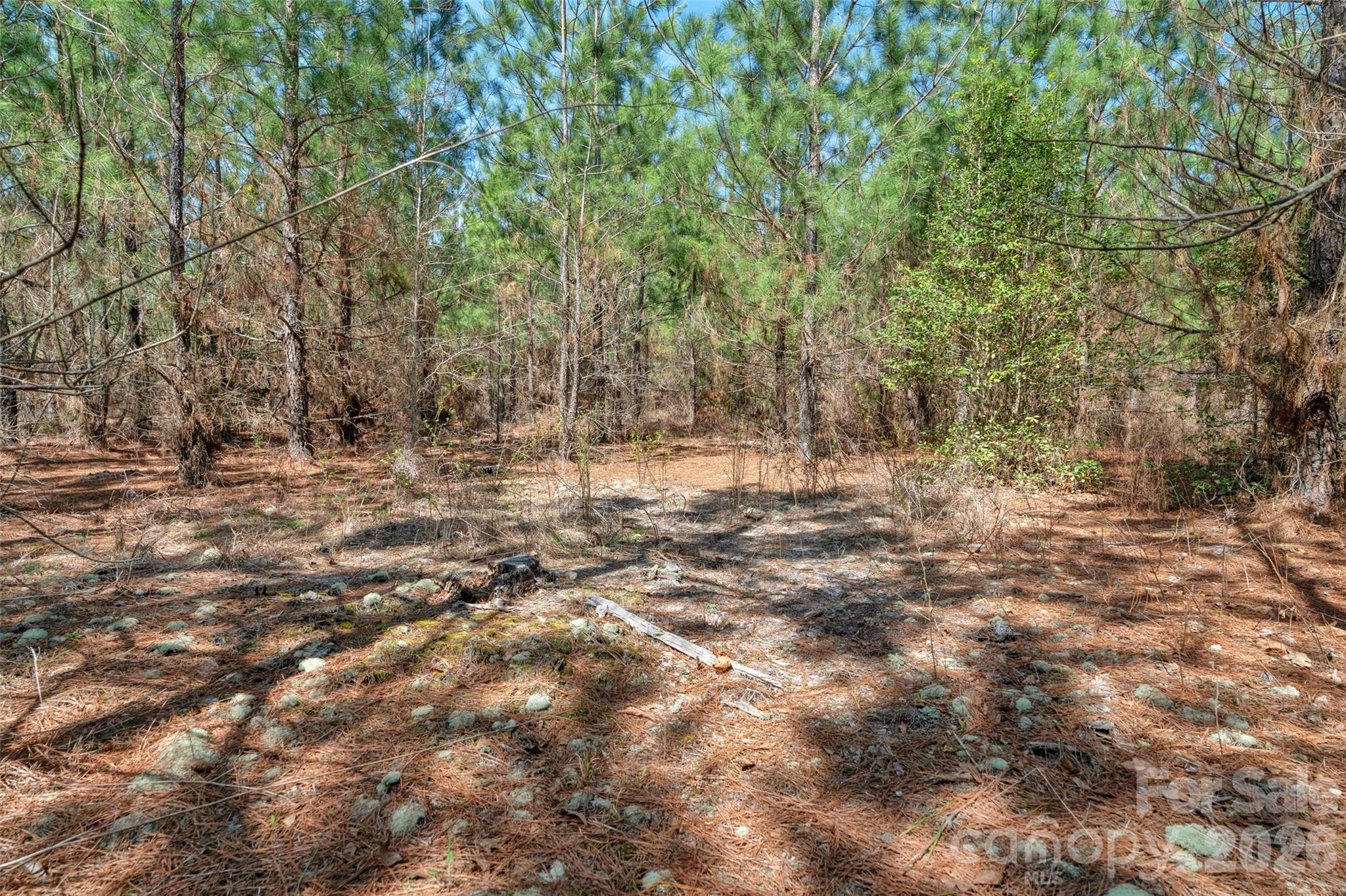 931 Charlie Johnson Road, Unit 9 Kershaw, SC 29067 - Photo 27 of 33