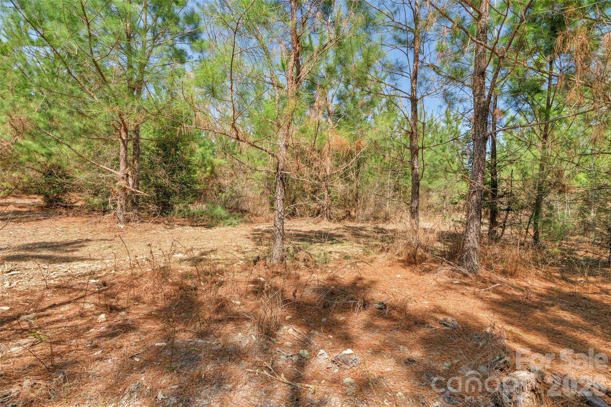 931 Charlie Johnson Road, Unit 9 Kershaw, SC 29067 - Photo 30 of 33