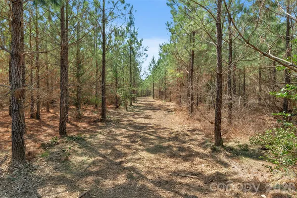 $77,500 | 931 Charlie Johnson Road, Unit 9, Kershaw, SC 29067