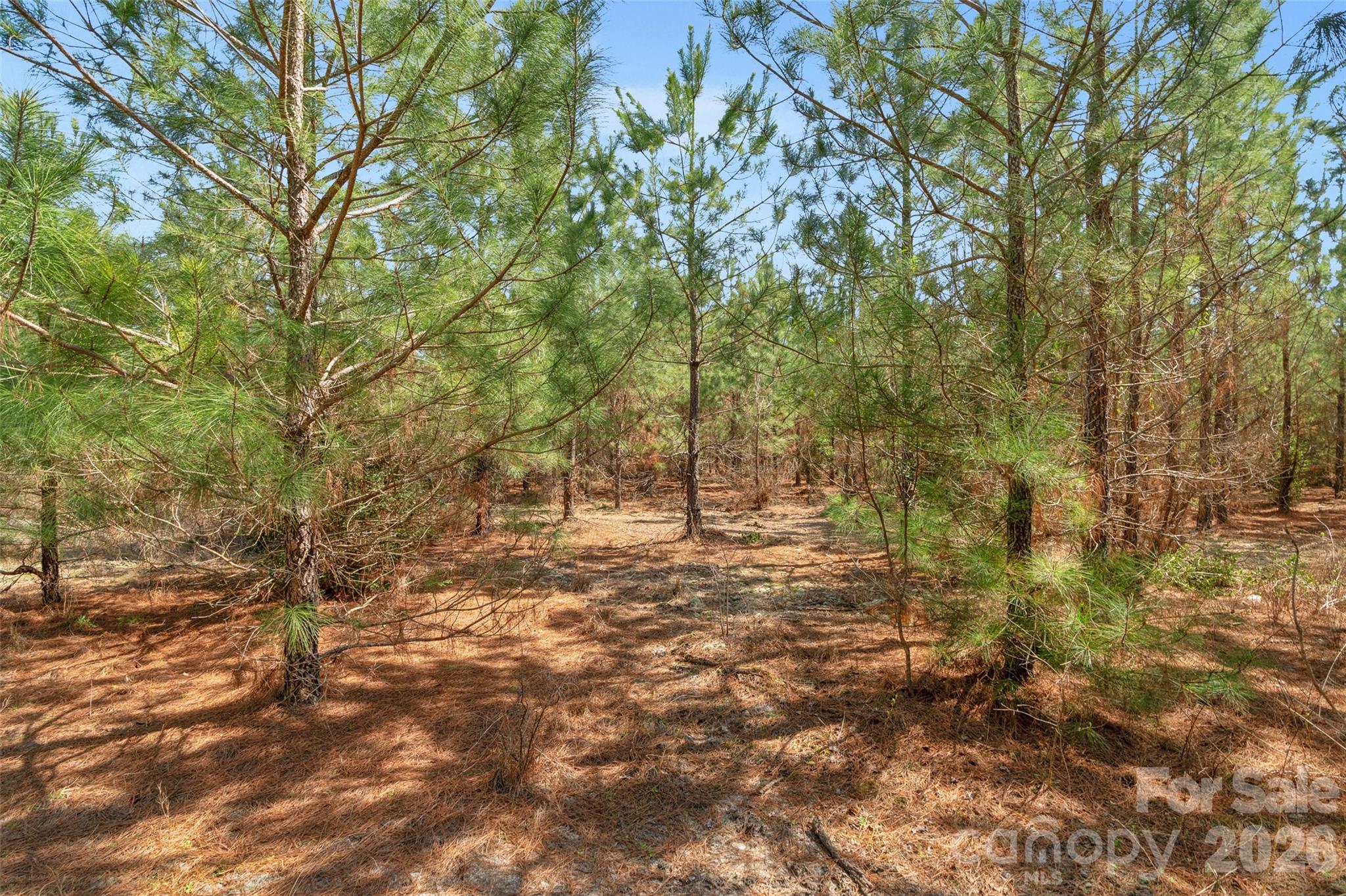 931 Charlie Johnson Road, Unit 9 Kershaw, SC 29067 - Photo 32 of 33