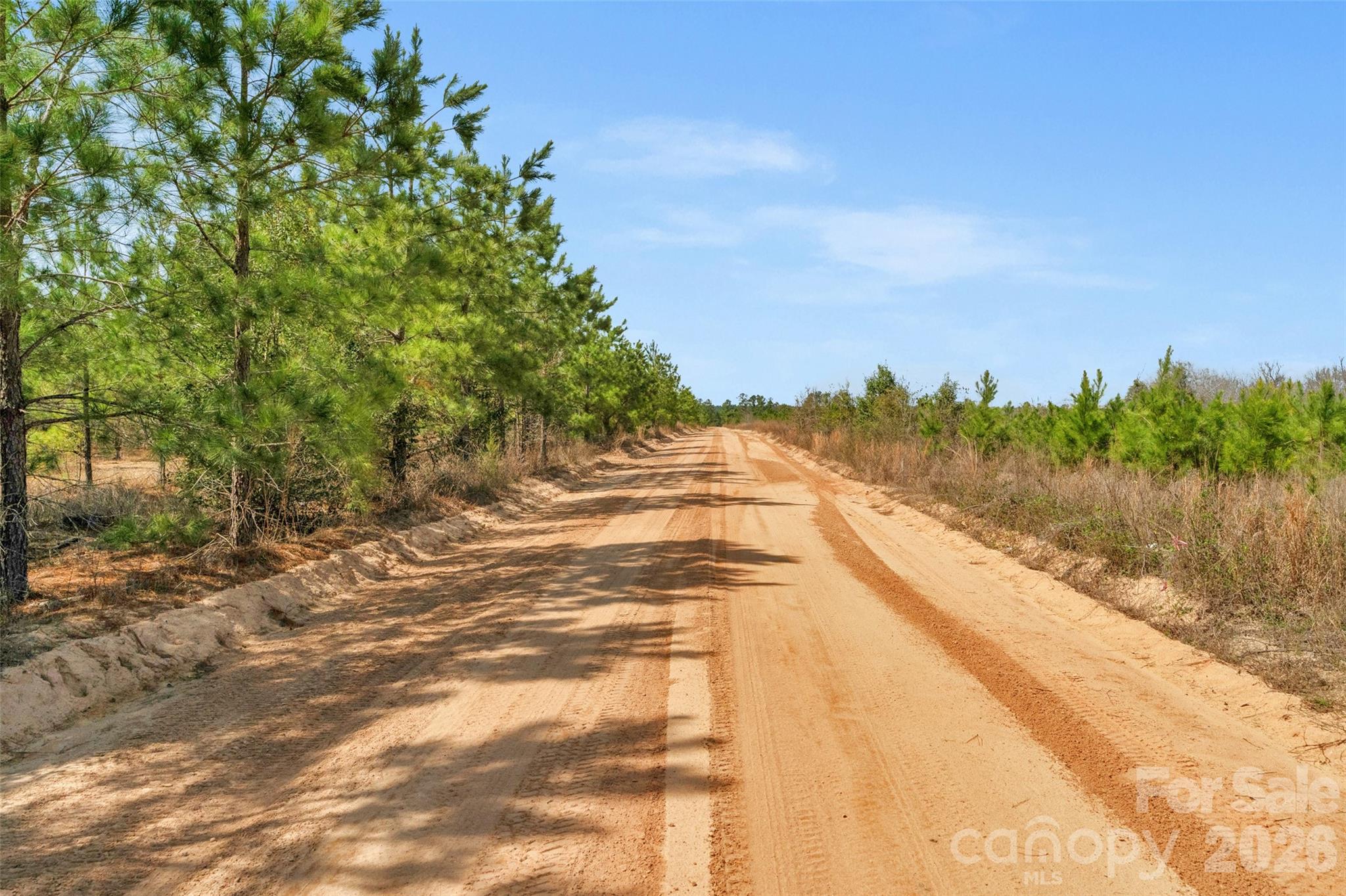 931 Charlie Johnson Road, Unit 9 Kershaw, SC 29067 - Photo 4 of 33