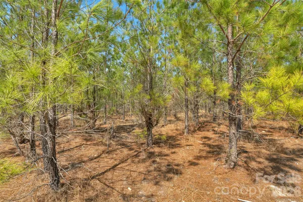 $77,500 | 931 Charlie Johnson Road, Unit 9, Kershaw, SC 29067