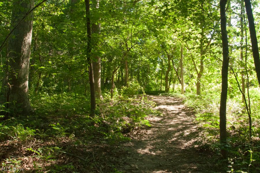 1145 Canyon View Road, Unit 105 Northfield, OH 44067 - Photo 24 of 25 Walking Trail