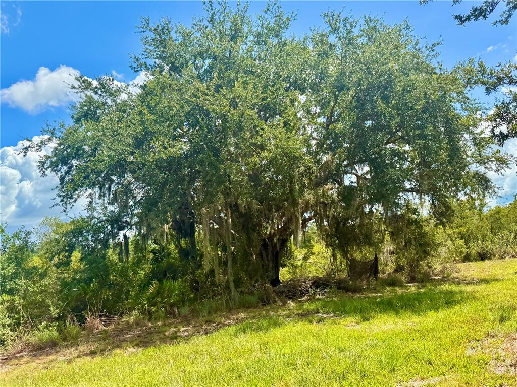 0 Roberts Road Ona, FL 33865 - Photo 34 of 39 Gallery Image 34