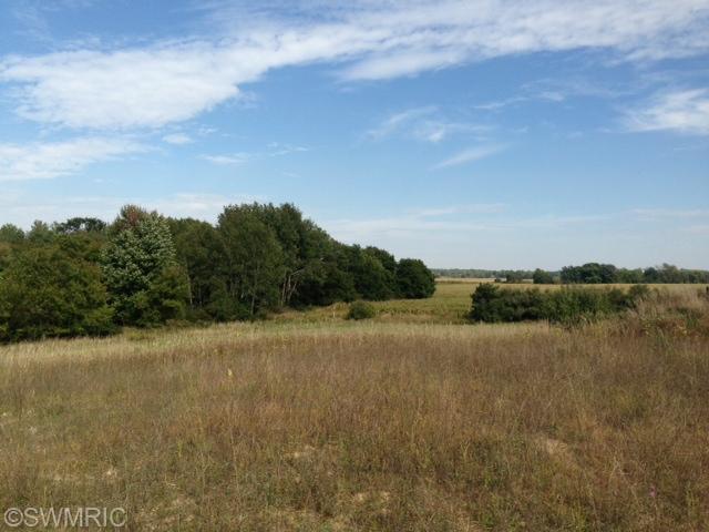 11636 West Almy Road Lakeview, MI 48850 - Photo 1 of 3 Primary Photo