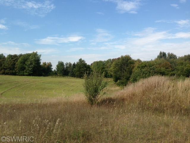11636 West Almy Road Lakeview, MI 48850 - Photo 2 of 3 Additional Photo