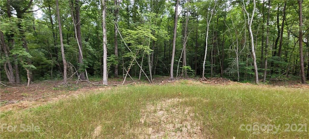 0 Birdsong Road Concord, NC 28025 - Photo 2 of 11 Gallery Image 2