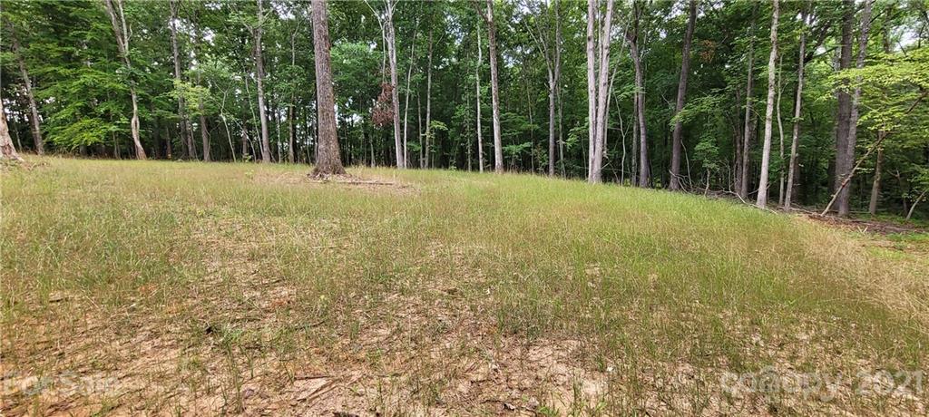 0 Birdsong Road Concord, NC 28025 - Photo 11 of 11 Gallery Image 11