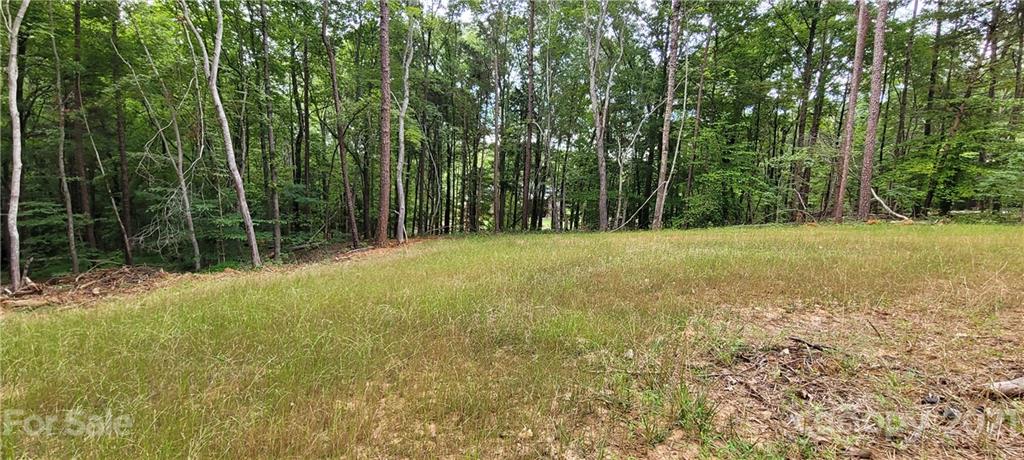 0 Birdsong Road Concord, NC 28025 - Photo 3 of 11 Gallery Image 3