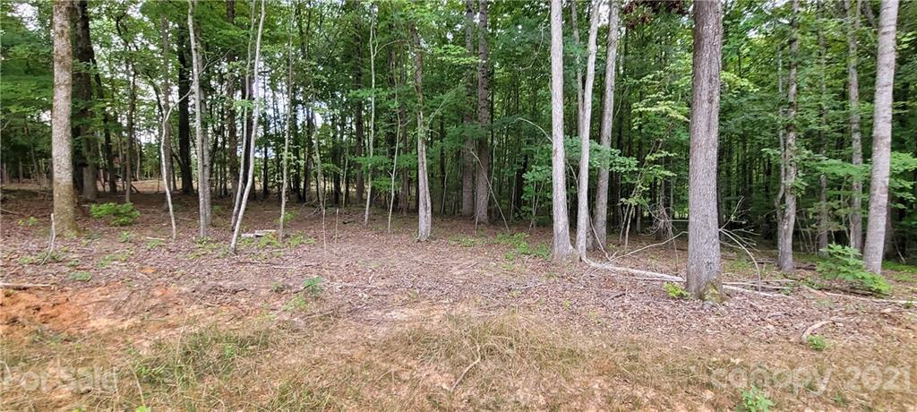 0 Birdsong Road Concord, NC 28025 - Photo 4 of 11 Gallery Image 4