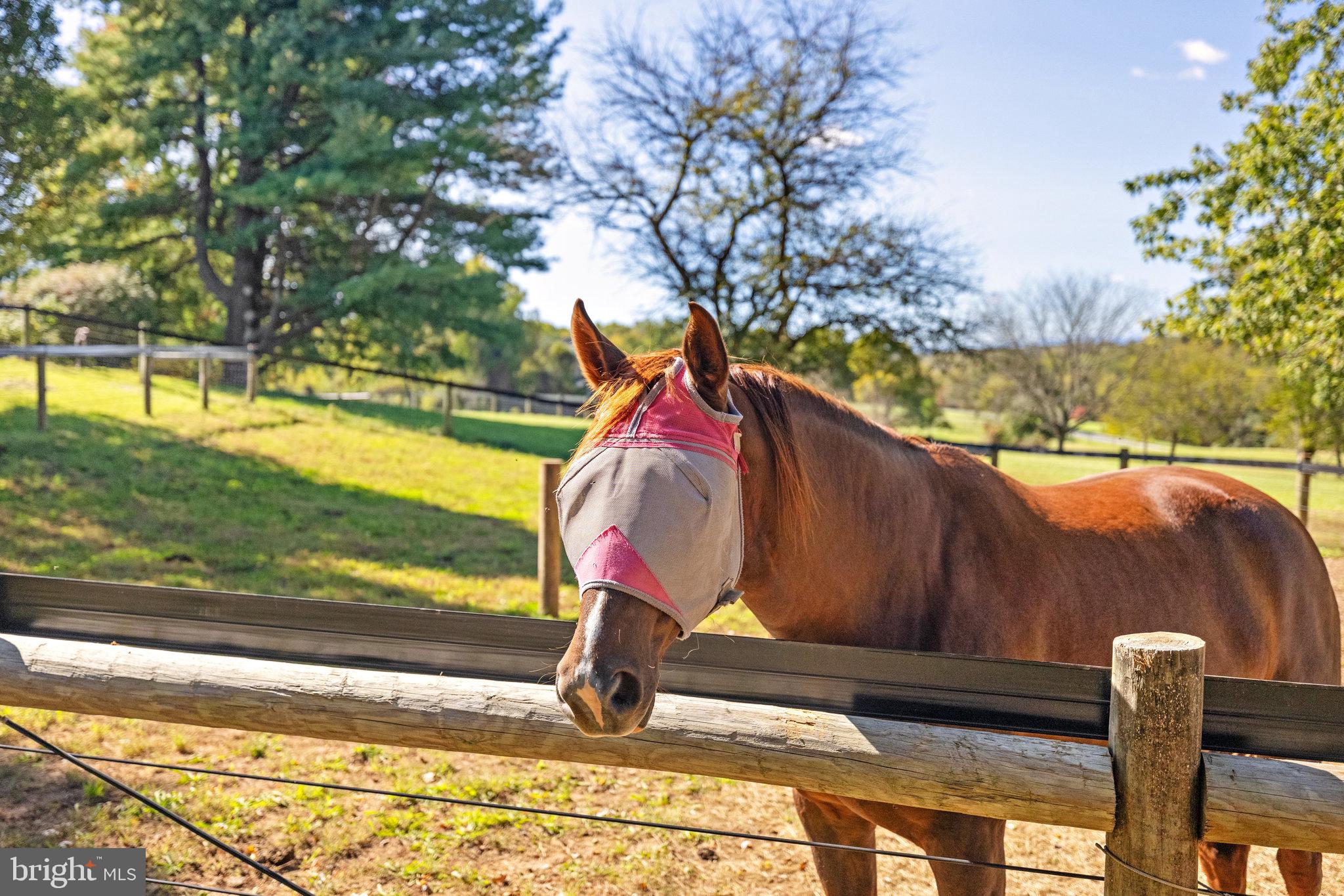 18914 Shelburne Glebe Road Leesburg, VA 20175 - Photo 50 of 69