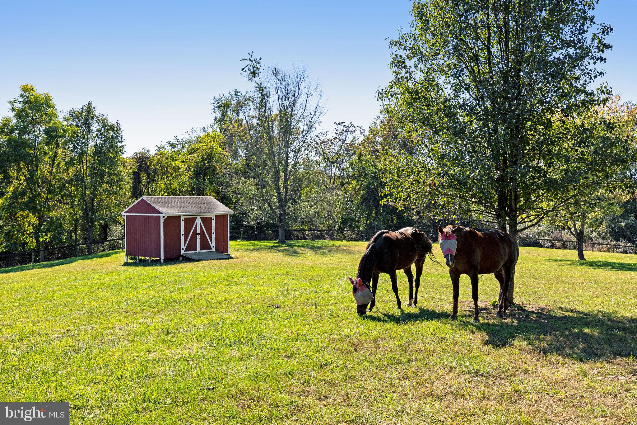 18914 Shelburne Glebe Road Leesburg, VA 20175 - Photo 65 of 69