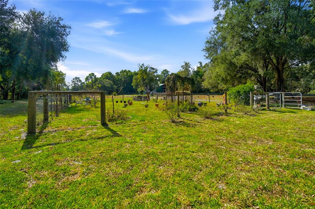 2804 Southwest 67th Lane Bushnell, FL 33513 - Photo 23 of 48 a view of a lake with a yard
