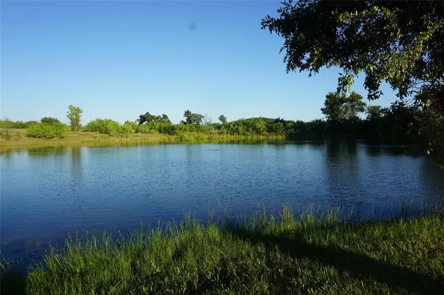 a sunset view with a tree