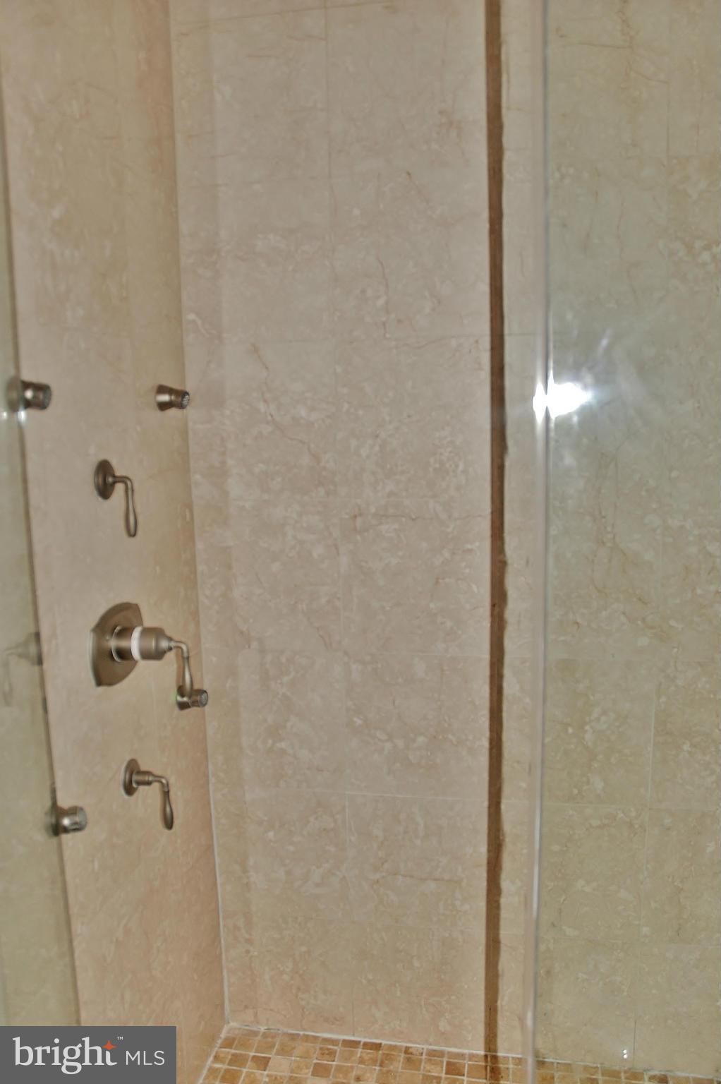 1217 Park Road Northwest Washington, DC 20010 - Photo 15 of 30 Shower