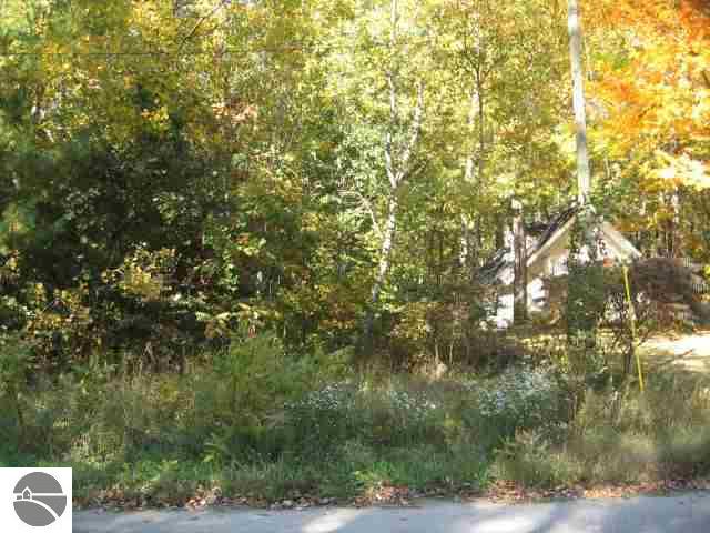 10606 Wildwood Road Interlochen, MI 49643 - Photo 18 of 25 1720999-17.JPG