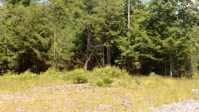 0 Grist Mill Road Bridgton, ME 04009 - Photo 22 of 48 16 other 6_800x450