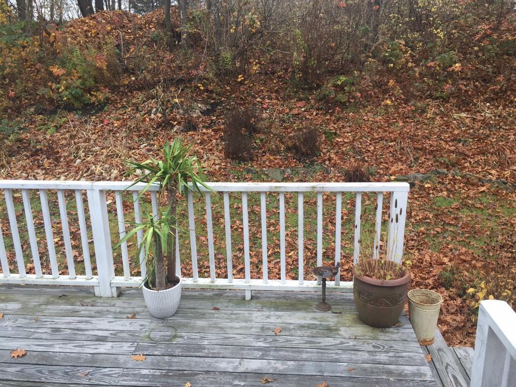 14 Rand Road Cape Elizabeth, ME 04107 - Photo 23 of 24 Photo