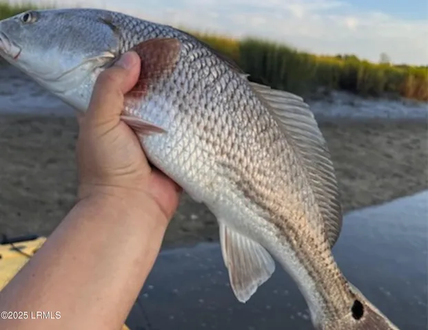 $44,950 | 15 Barnaby Bluff, Seabrook, SC 29940