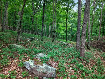 $64,000 | 0 Ridgeside Court, Jasper, GA 30143