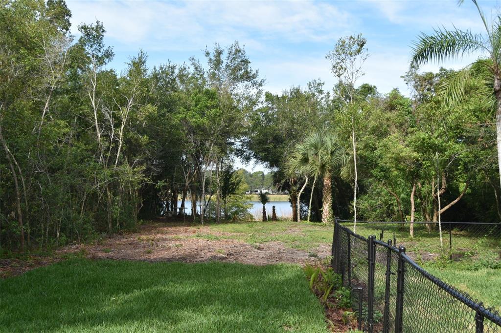 1444 Bird Road Casselberry, FL 32707 - Photo 53 of 70 a view of a backyard with large trees