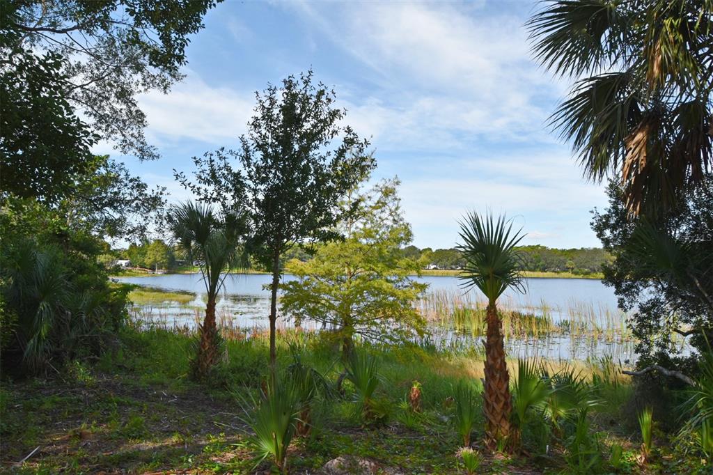 1444 Bird Road Casselberry, FL 32707 - Photo 54 of 70 a view of lake from a lake