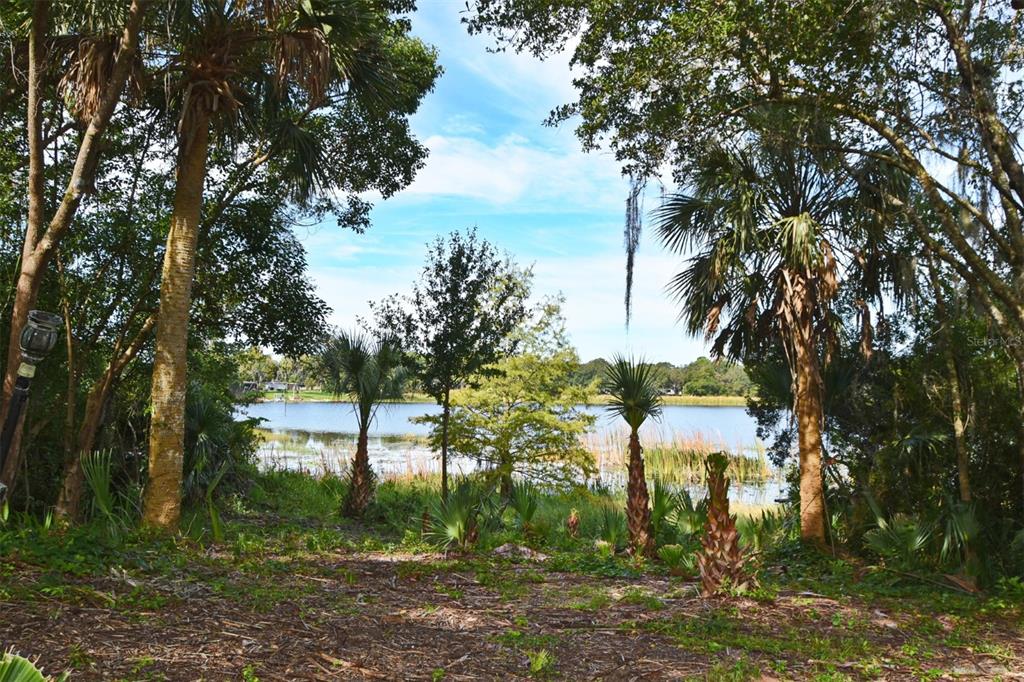 1444 Bird Road Casselberry, FL 32707 - Photo 55 of 70 a view of a yard in a yard