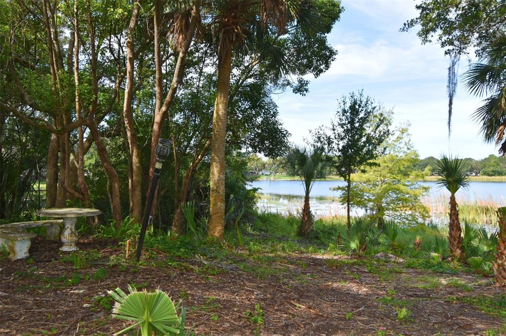 1444 Bird Road Casselberry, FL 32707 - Photo 56 of 70 a backyard of a house with lots of green space