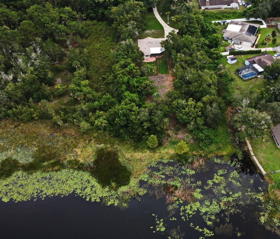 1444 Bird Road Casselberry, FL 32707 - Photo 62 of 70